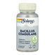 Пробіотик бацилус коагуланс Solaray Bacillus Coagulans 5 Billion CFU - 60 капсул 2023-10-6977 фото 1